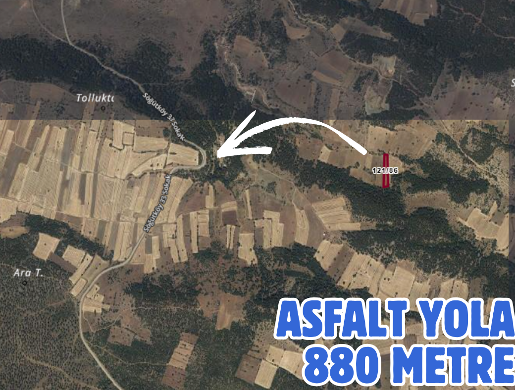 DENİZLİ ÇARDAK SÖĞÜT 2.992 M² TARLAMIZ SATILIKTIR - DENİZLİ ÇARDAK fotoğraf 3
